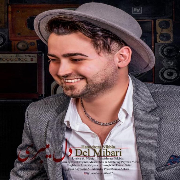 دانلود آهنگ حمیدرضا نیک بین دل میبری